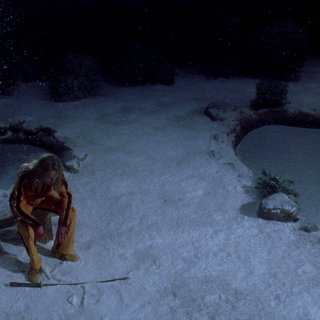 Kill Bill: The Whole Bloody Affair Picture 4