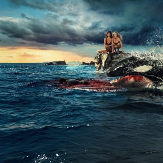 Killer Whale Picture 8