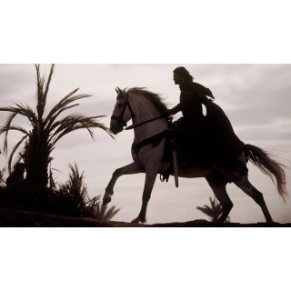 Kingdom of Heaven (2005)