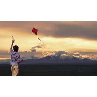 Kite Runner, The Picture 2