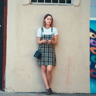 Lady Bird Picture 4