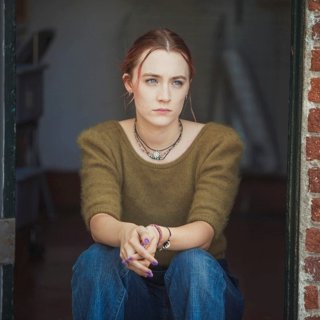 Lady Bird Picture 5