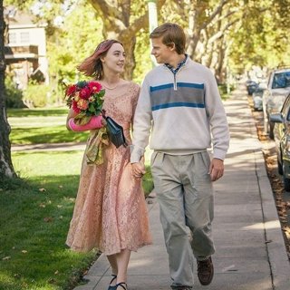 Lady Bird Picture 9