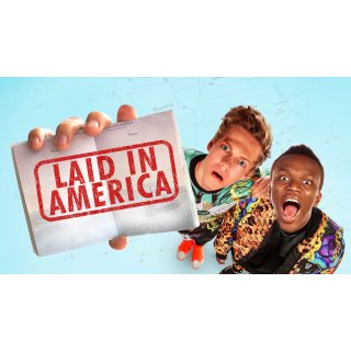 Laid in America (2016)