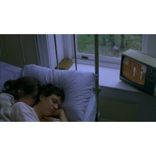 Last Days (2005)