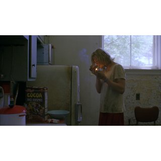 Last Days (2005)