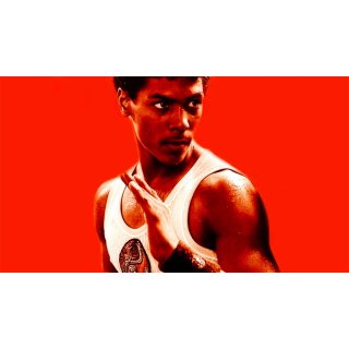 Last Dragon, The (1970)