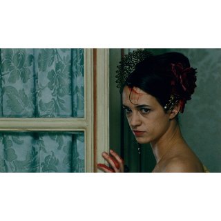 Last Mistress, The Picture 1