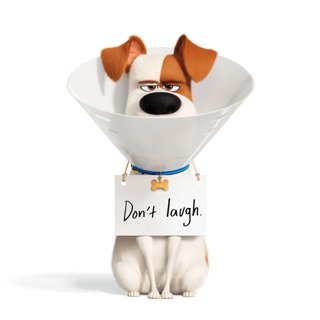 The Secret Life of Pets 2 Picture 1
