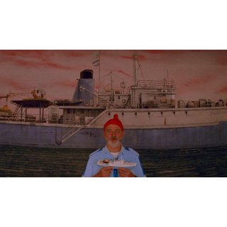 Life Aquatic With Steve Zissou, The Picture 7