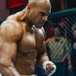Lion Fist (2026)