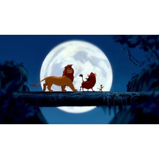 Lion King, The Picture 3