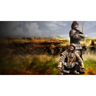 Little Big Soldier (2010)