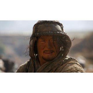 Little Big Soldier (2010)