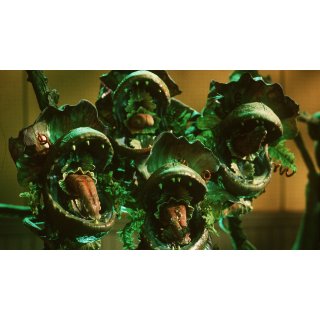 Little Shop of Horrors (1970)