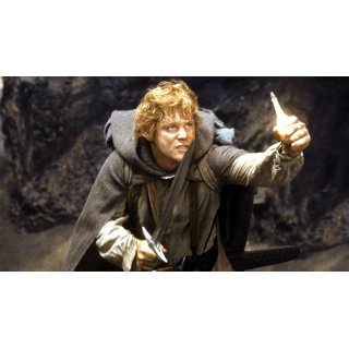 Lord of the Rings: The Return of The King, The (2003)