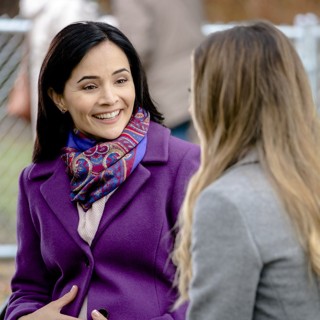 A scene from Hallmark Channel's Love at First Bark (2017)