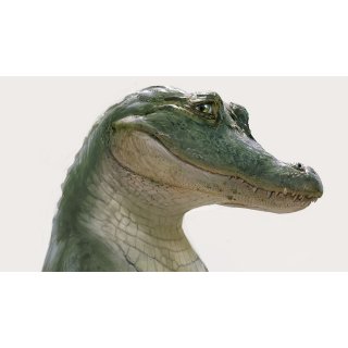 Lyle, Lyle, Crocodile (2022)