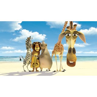 Madagascar Picture 5