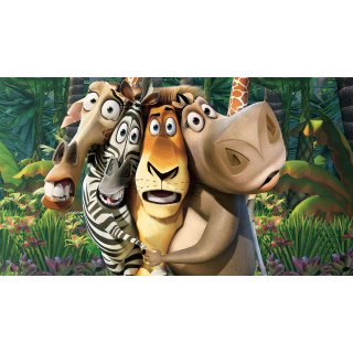 Madagascar Picture 8