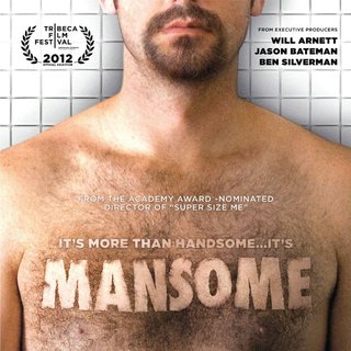Poster of Paladin's Mansome (2012)