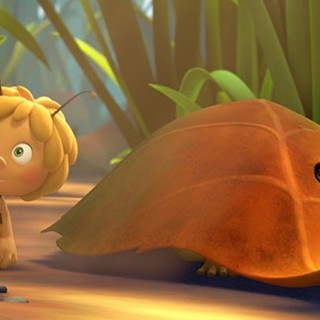 Maya the Bee Movie Picture 5