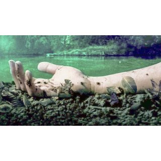 Mean Creek (2004)