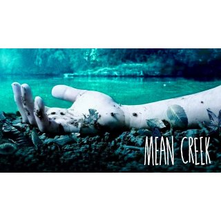 Mean Creek (2004)
