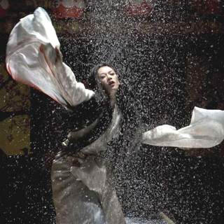 Memoirs Of A Geisha Picture 33