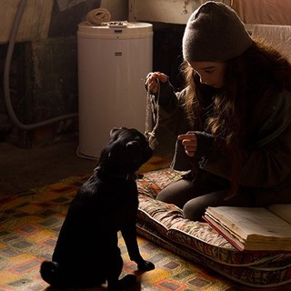 Raffey Cassidy stars as Molly Moon in ARC Entertainment's Molly Moon: The Incredible Hypnotist (2015)
