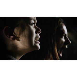 Monster, The (2016)