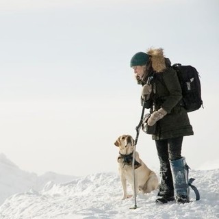 The Mountain Between Us Picture 3