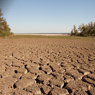 Mud Picture 35