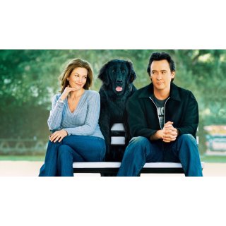 Must Love Dogs (2005)