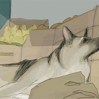 My Dog Tulip Picture 23