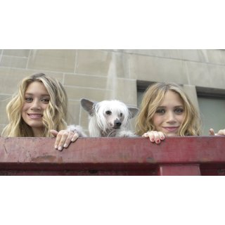 New York Minute (2004)