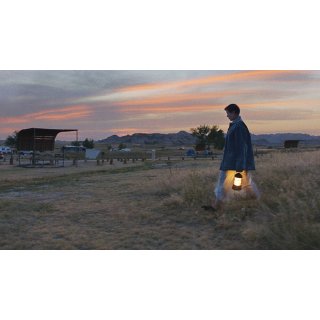Nomadland (2021)