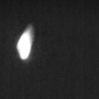 Null (2026)