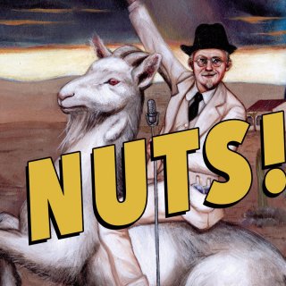 Nuts! Picture 1