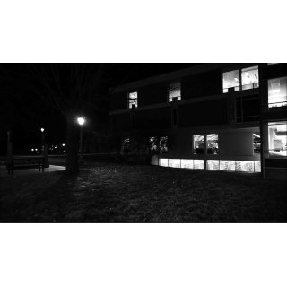 Observational Studies (2026)
