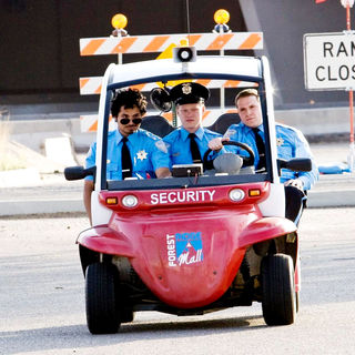 Observe And Report Picture 22