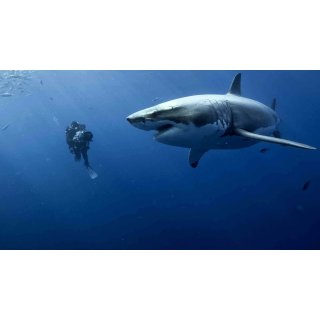 Oceans (2010)