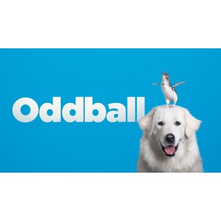 Oddball (2016)