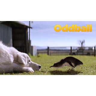 Oddball (2016)