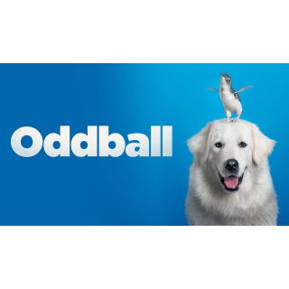 Oddball (2016)