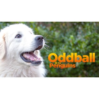 Oddball (2016)