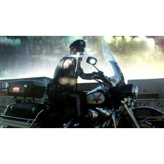 Officer Downe (2016)