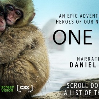 Poster of Screenvision's One Life (2013)