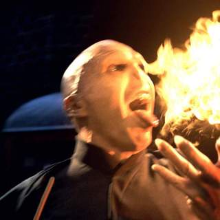Harry Potter And The Order Of The Phoenix Picture 25