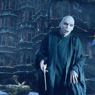 Harry Potter And The Order Of The Phoenix Picture 30